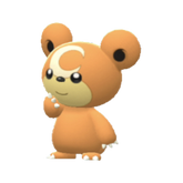 Buy Teddiursa in Brilliant Diamond & Shining Pearl